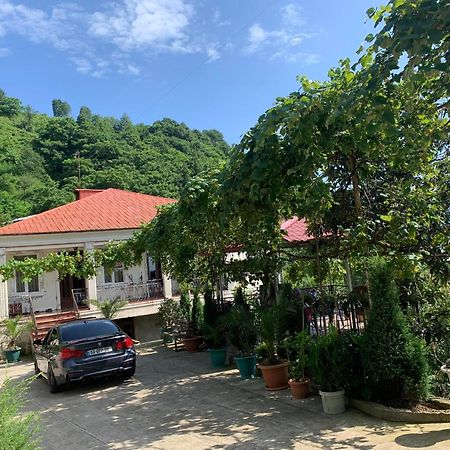 Guesthouse Mtsvane Koncxi 22 Mtsvane Konts'khi Buitenkant foto