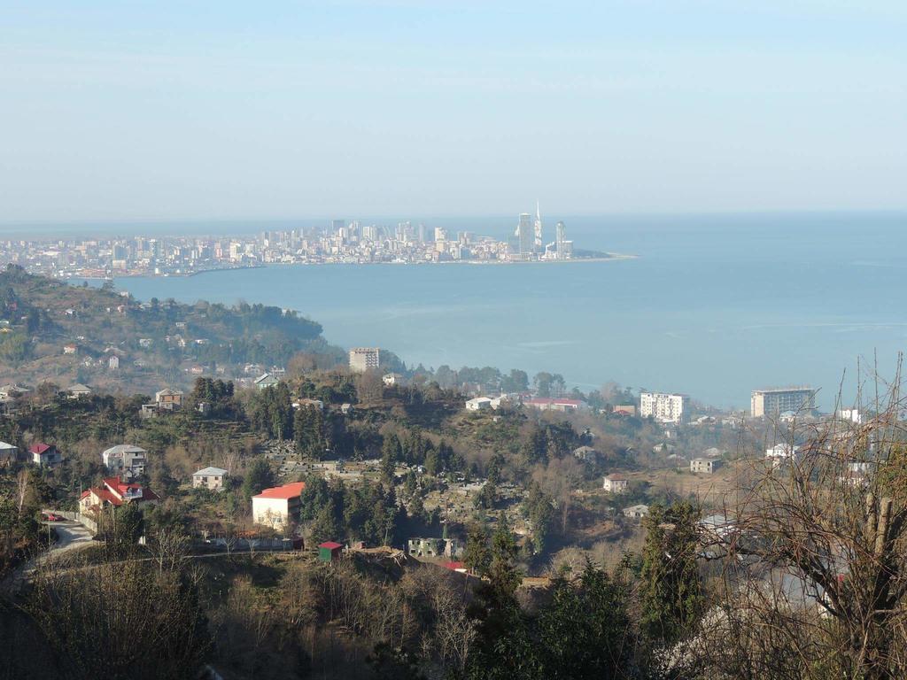 Guesthouse Mtsvane Koncxi 22 Mtsvane Konts'khi Buitenkant foto