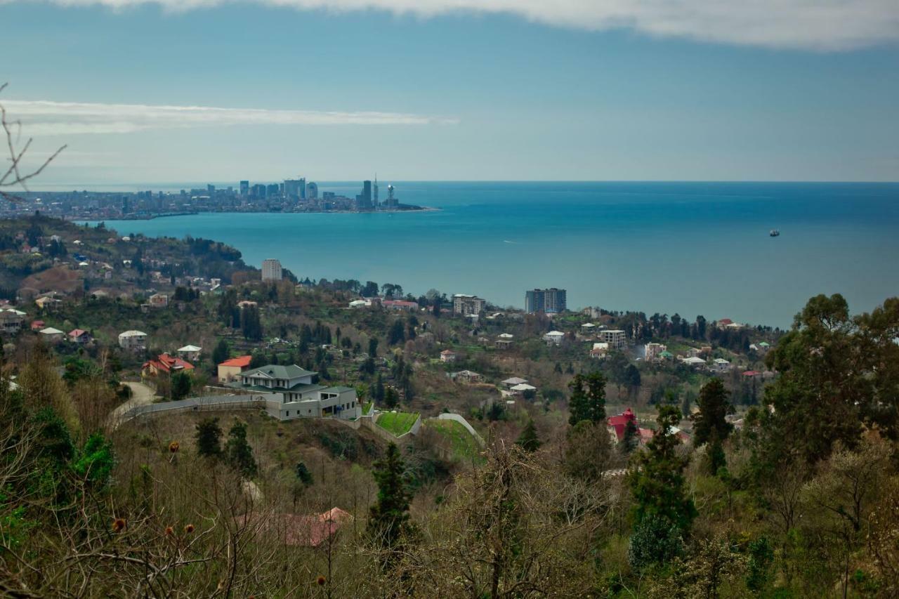 Guesthouse Mtsvane Koncxi 22 Mtsvane Konts'khi Buitenkant foto