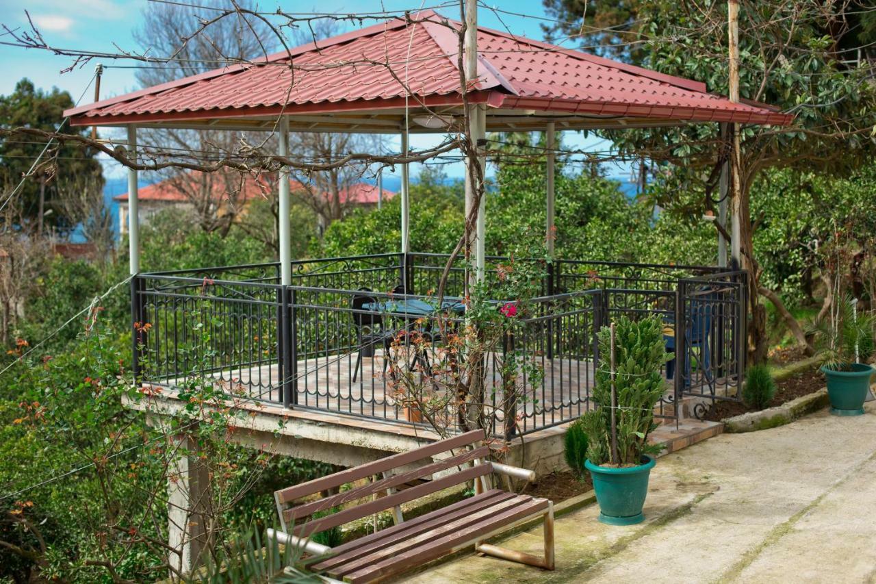 Guesthouse Mtsvane Koncxi 22 Mtsvane Konts'khi Buitenkant foto