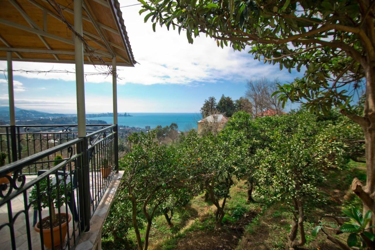 Guesthouse Mtsvane Koncxi 22 Mtsvane Konts'khi Buitenkant foto